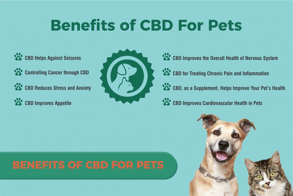 benifits of CBD for pets